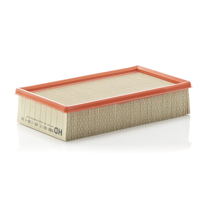 Filtro aria MANN C26110/1