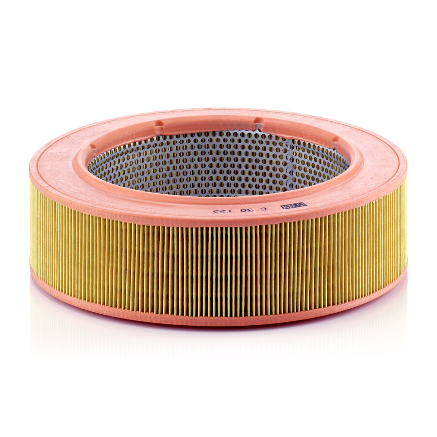Filtro aria MANN C30122