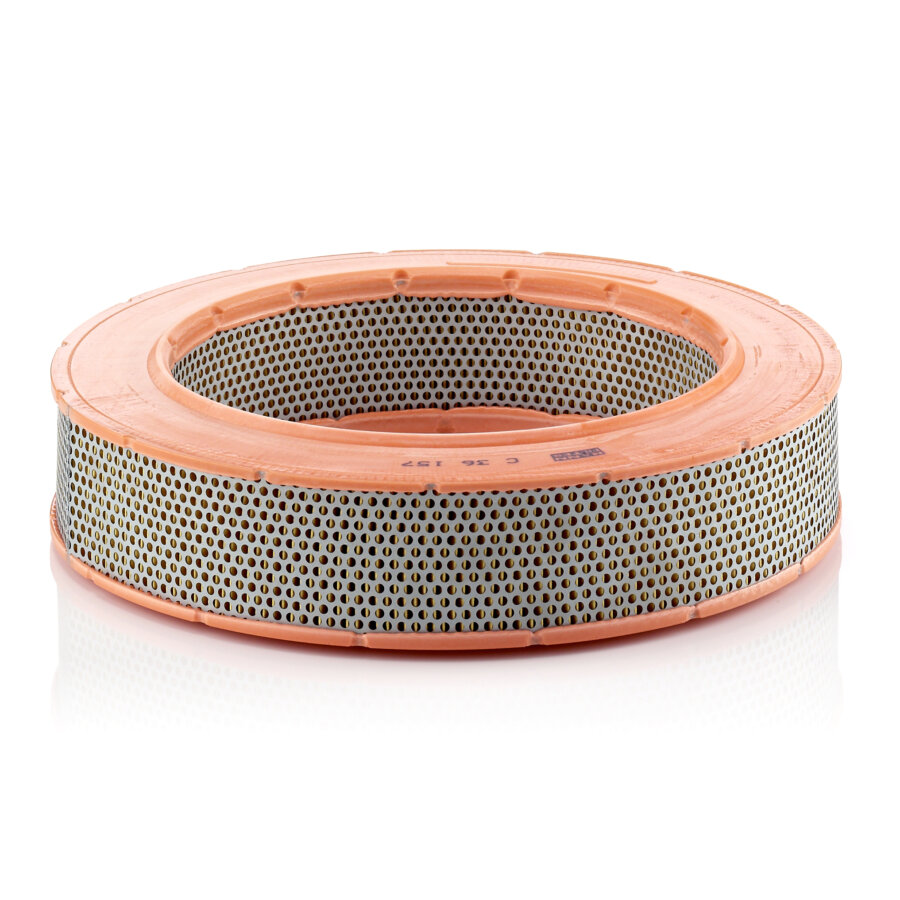 Filtro aria MANN C36157