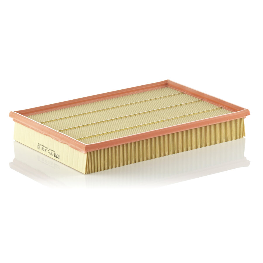 Filtro aria MANN C36221
