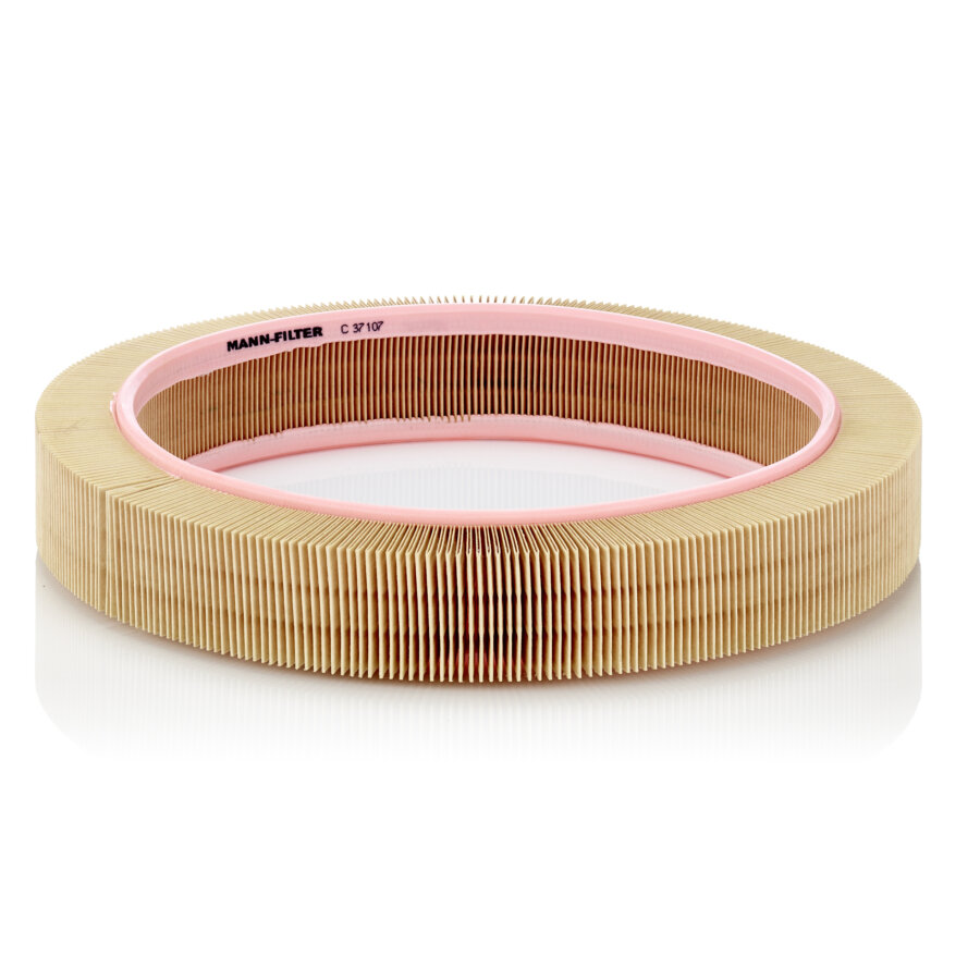 Filtro aria MANN C37107