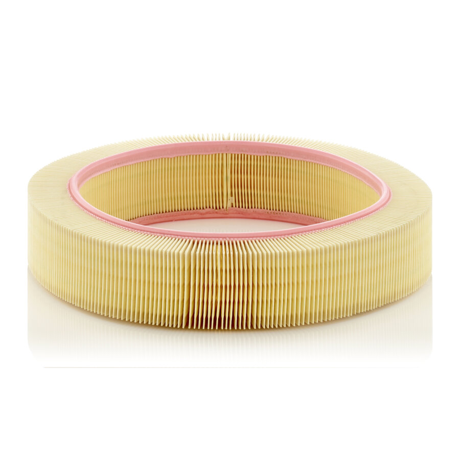 Filtro aria MANN C40174