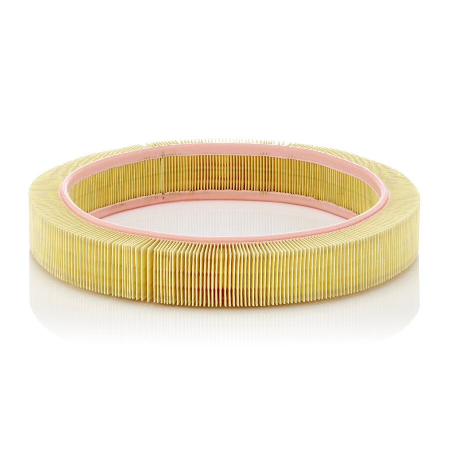 Filtro aria MANN C41123