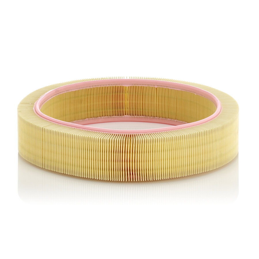 Filtro aria MANN C41173