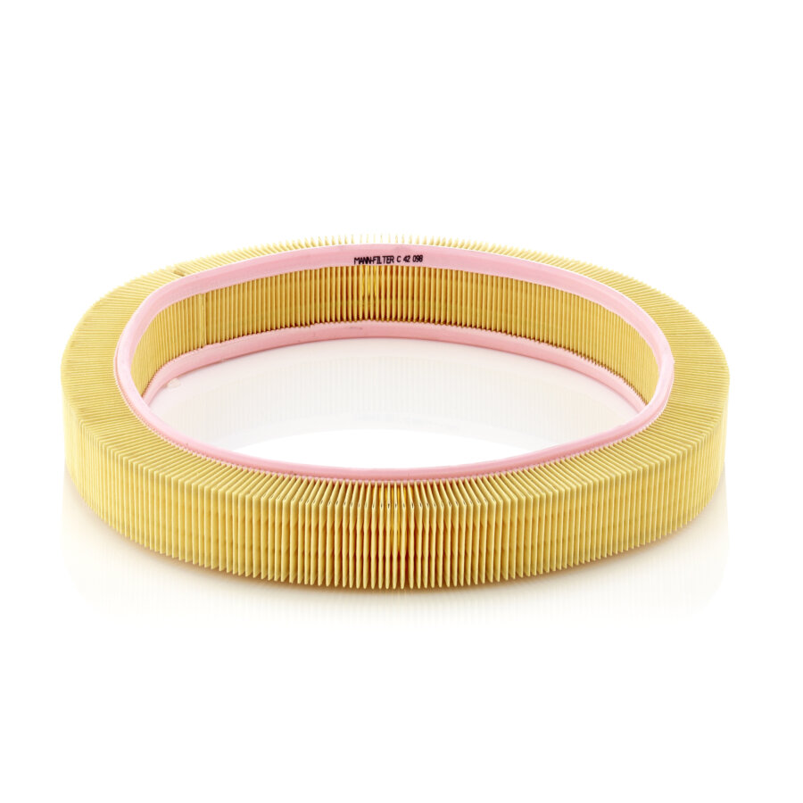 Filtro aria MANN C42098