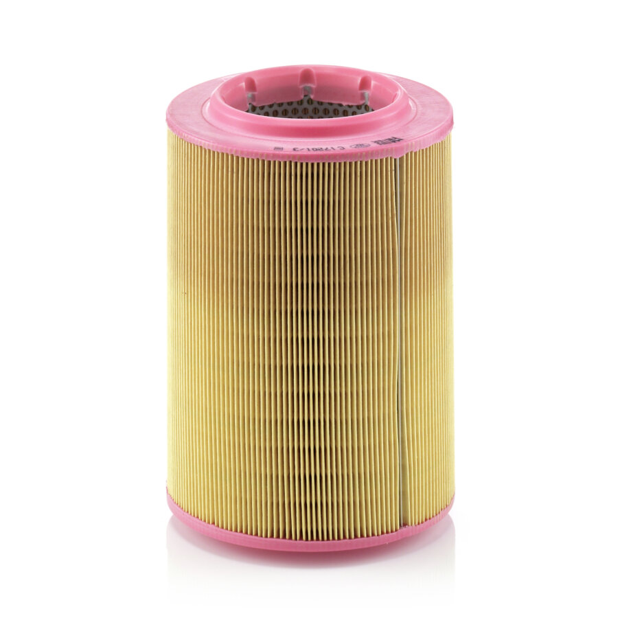 Filtro aria MANN C17201/3