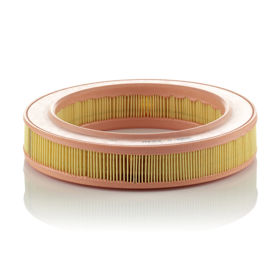 Filtro aria MANN C2540