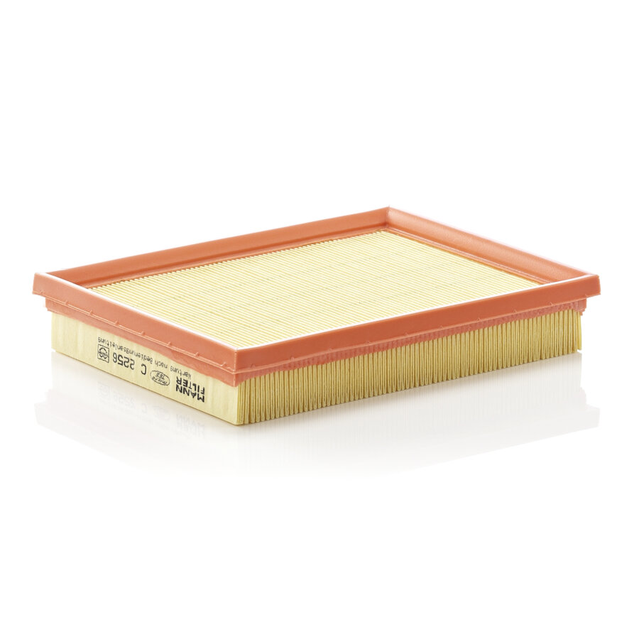 Filtro aria MANN C2256