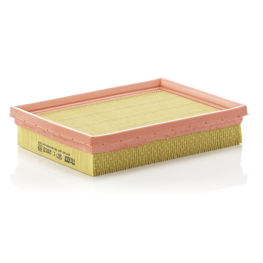 Filtro aria MANN C2053