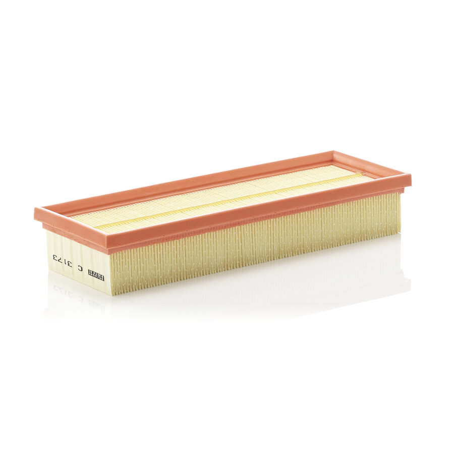 Filtro aria MANN C3173