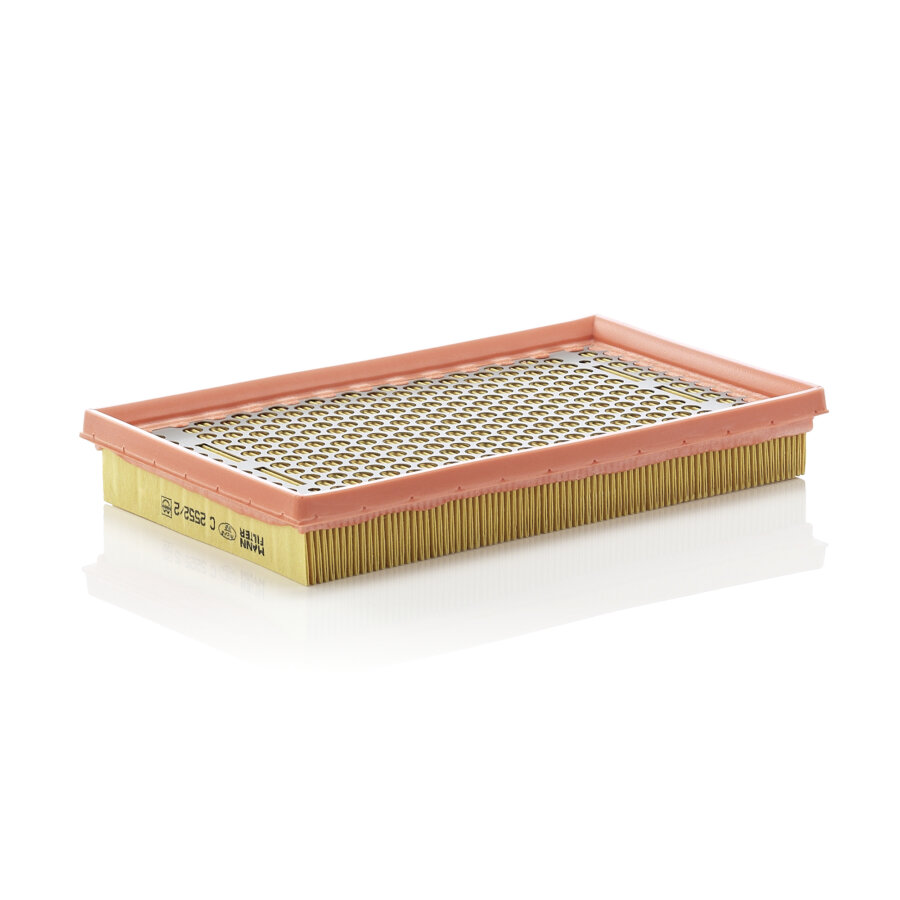 Filtro aria MANN C2552/2
