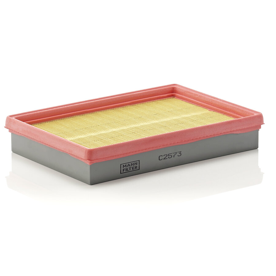 Filtro aria MANN C2573