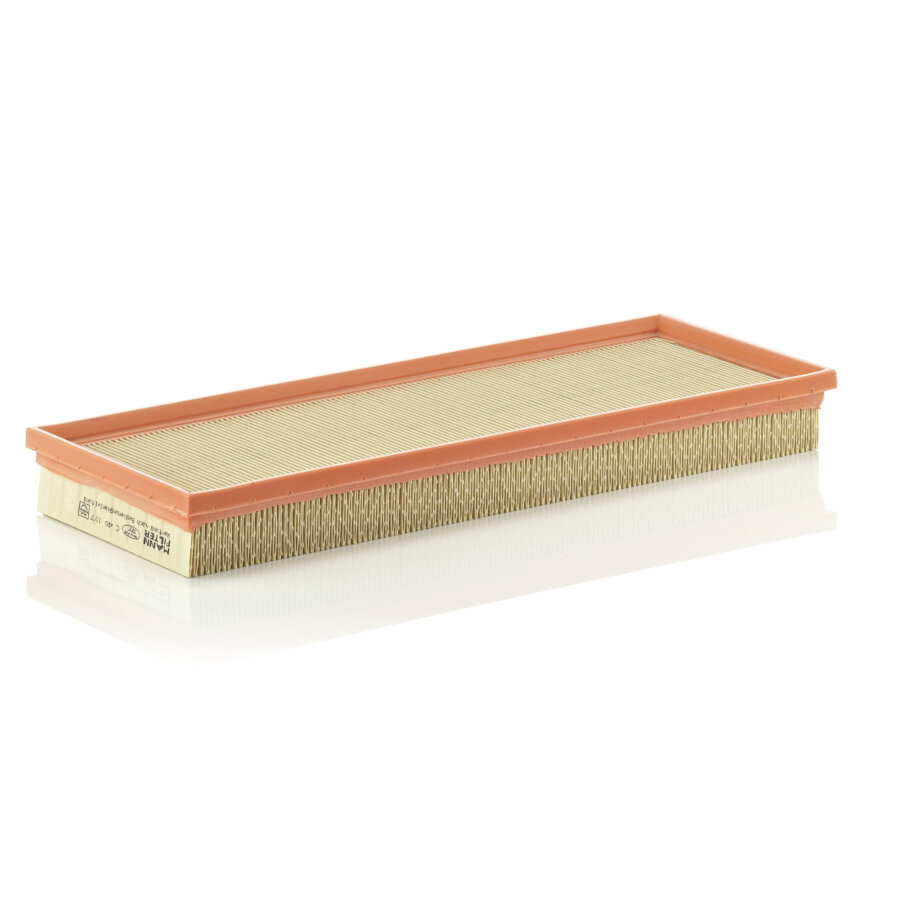 Filtro aria MANN C40107