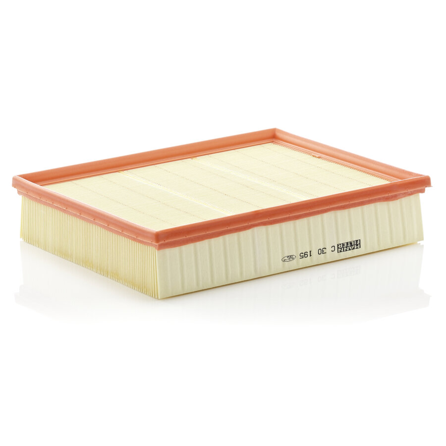 Filtro aria MANN C30195