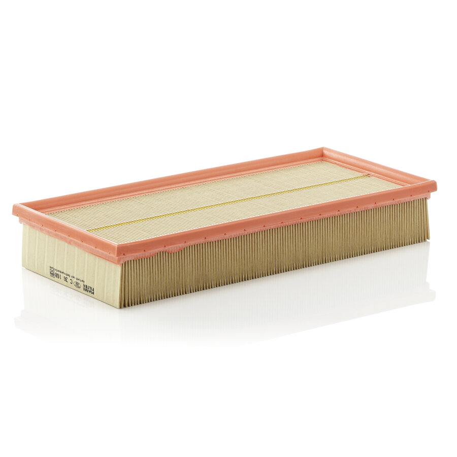 Filtro aria MANN C36168