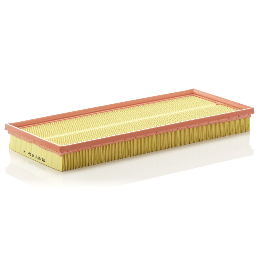 Filtro aria MANN C40124