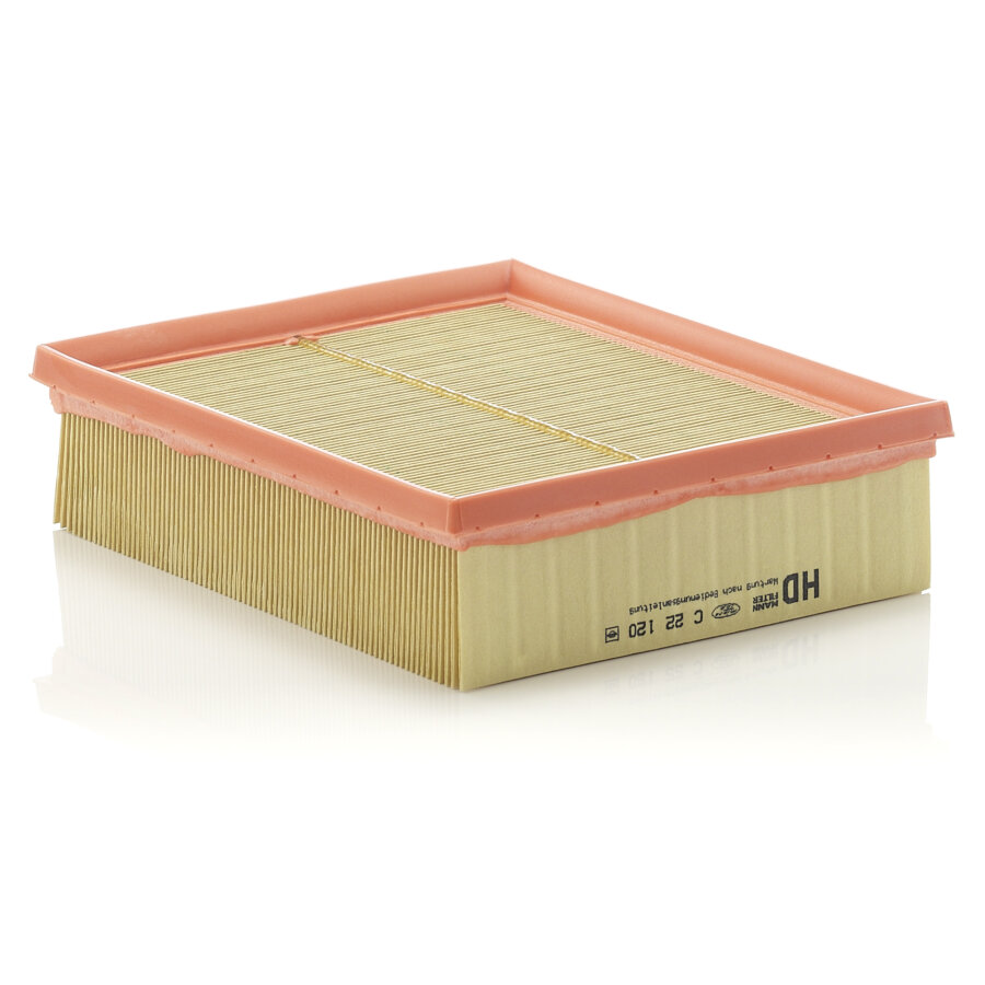 Filtro aria MANN C22120