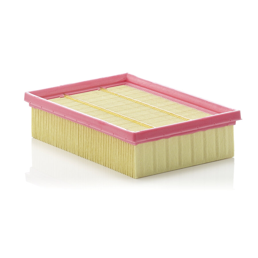 Filtro aria MANN C2056