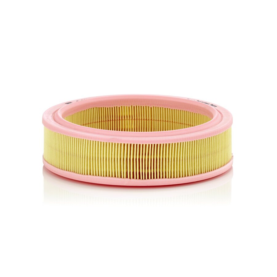 Filtro aria MANN C2233/1