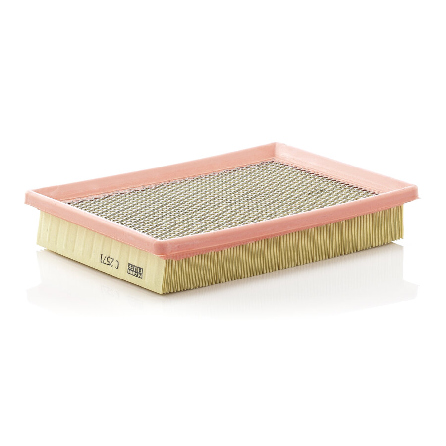 Filtro aria MANN C2571
