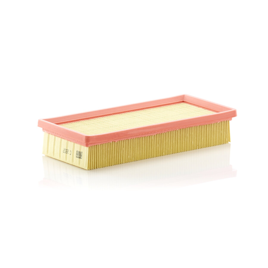 Filtro aria MANN C2657