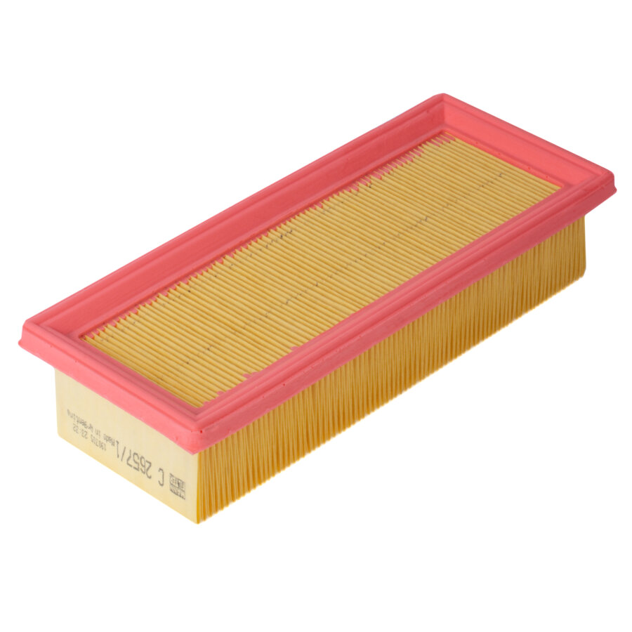 Filtro aria MANN C2657/1