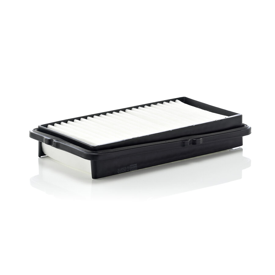 Filtro aria MANN C2537/2