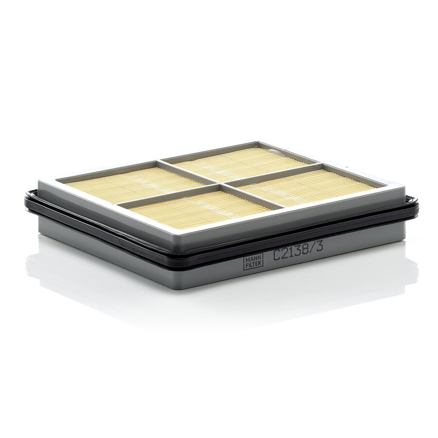 Filtro aria MANN C2138/3