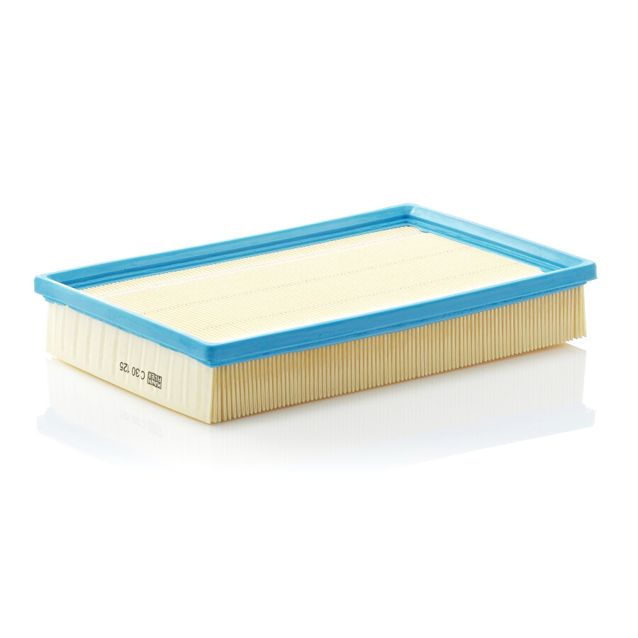 Filtro aria MANN C30125