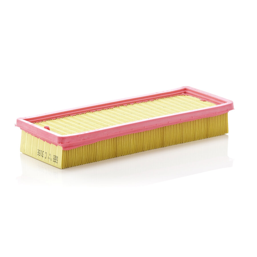Filtro aria MANN C3166