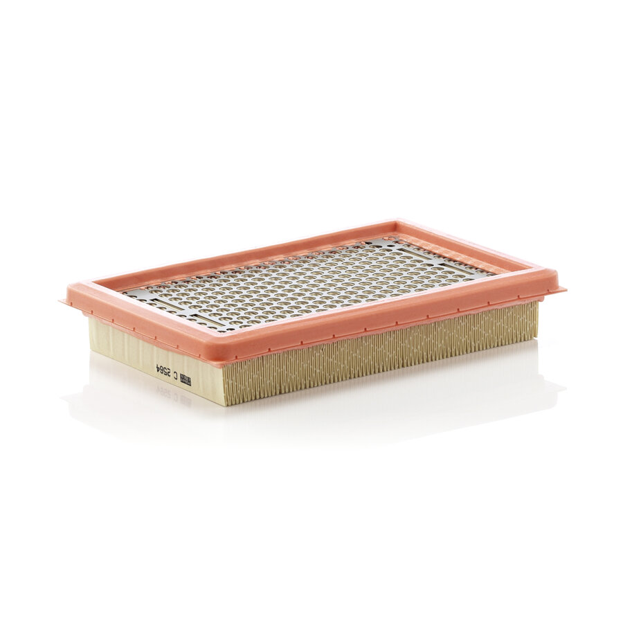 Filtro aria MANN C2564