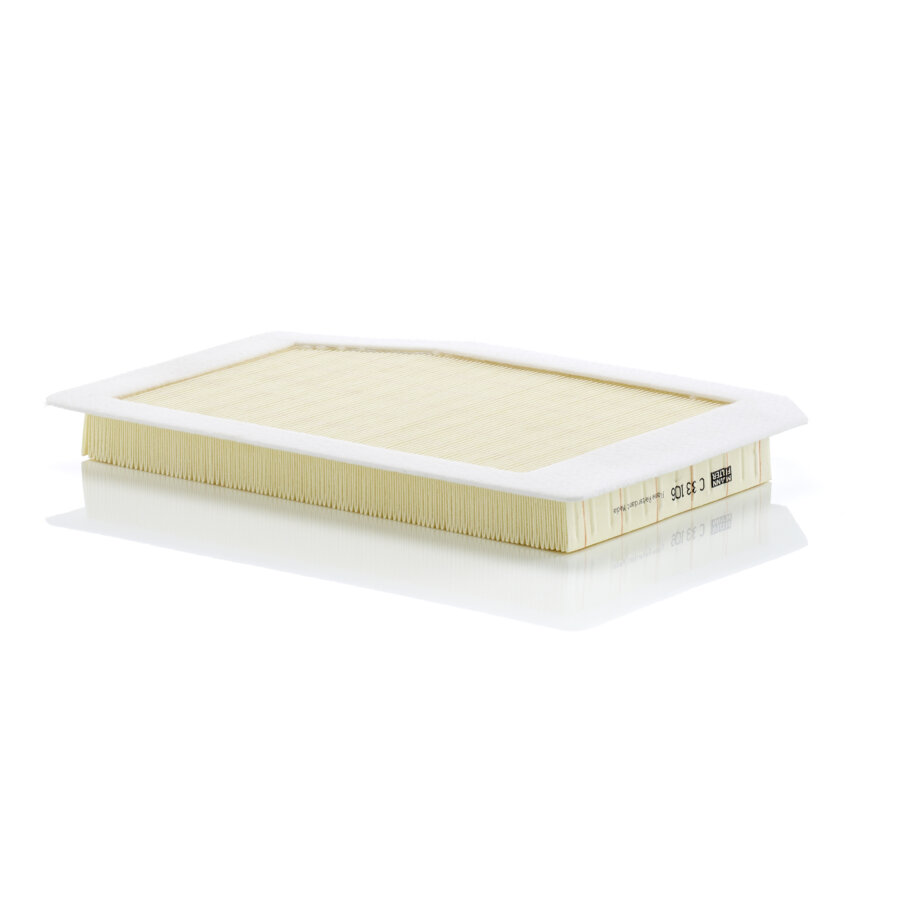 Filtro aria MANN C33106