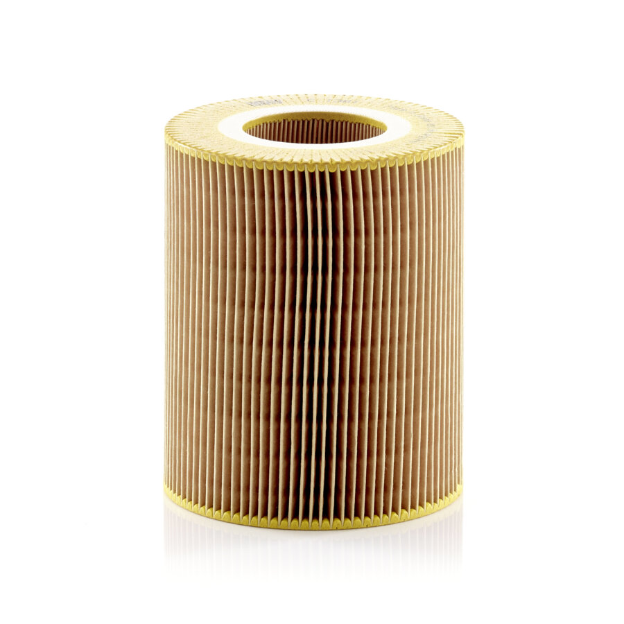 Filtro aria MANN C1381