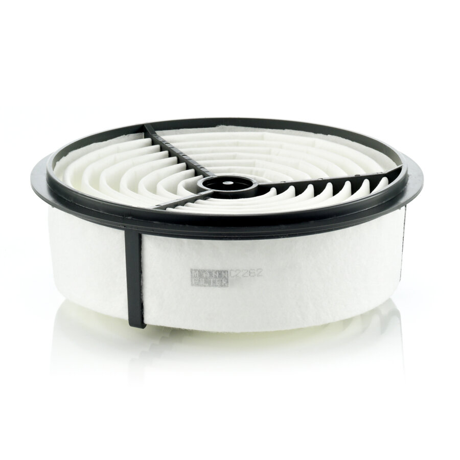 Filtro aria MANN C2262