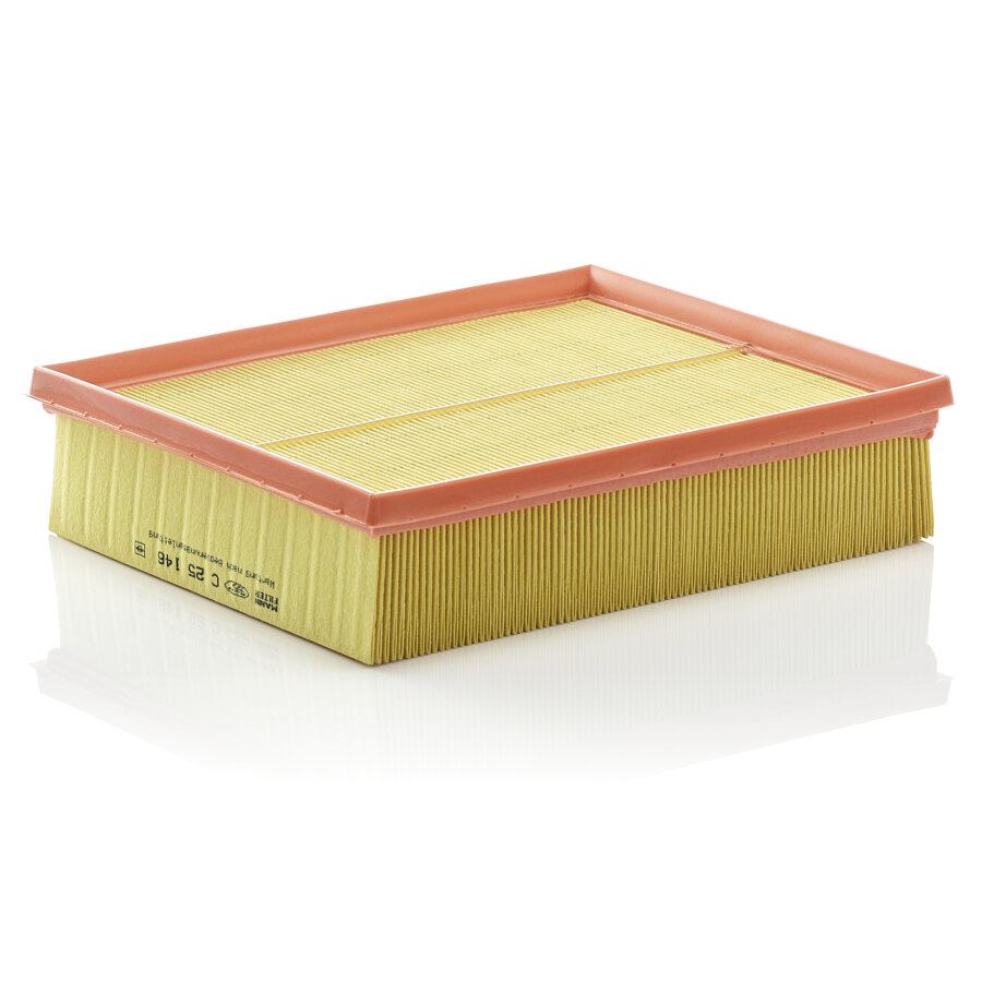 Filtro aria MANN C25146