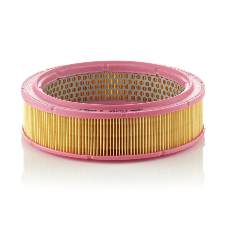 Filtro aria MANN C2443/1