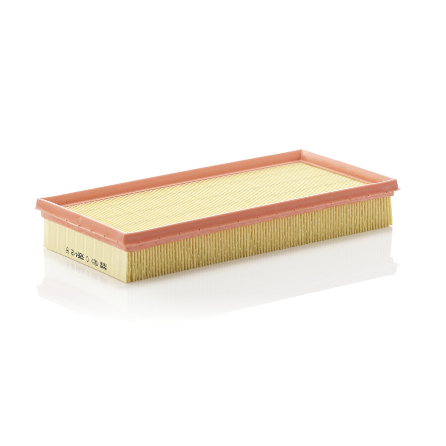 Filtro aria MANN C3284/2