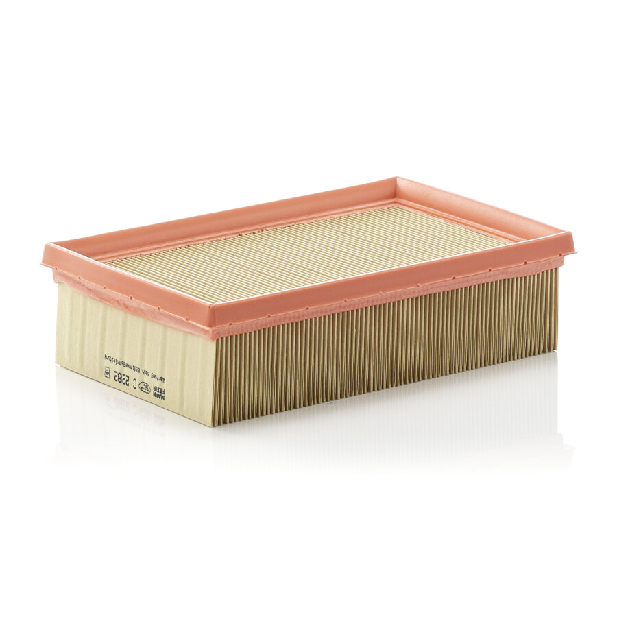 Filtro aria MANN C2282
