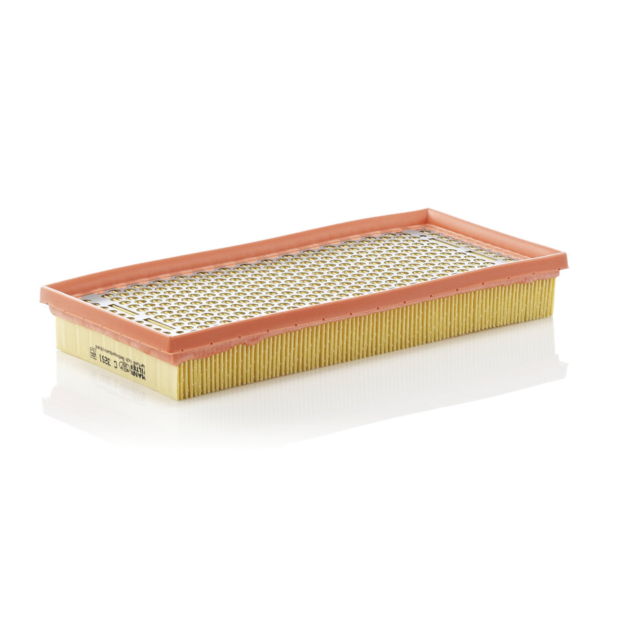 Filtro aria MANN C3261