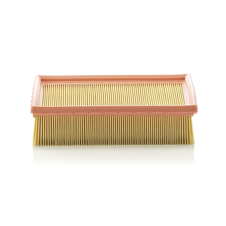 Filtro aria MANN C24105