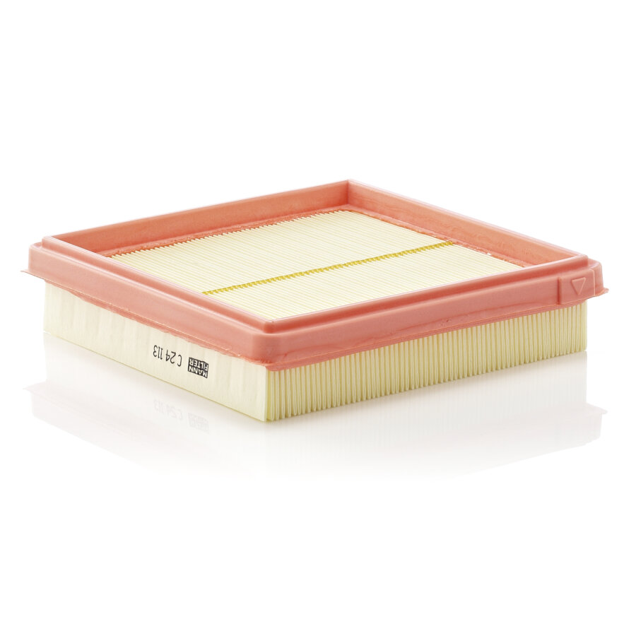 Filtro aria MANN C24113