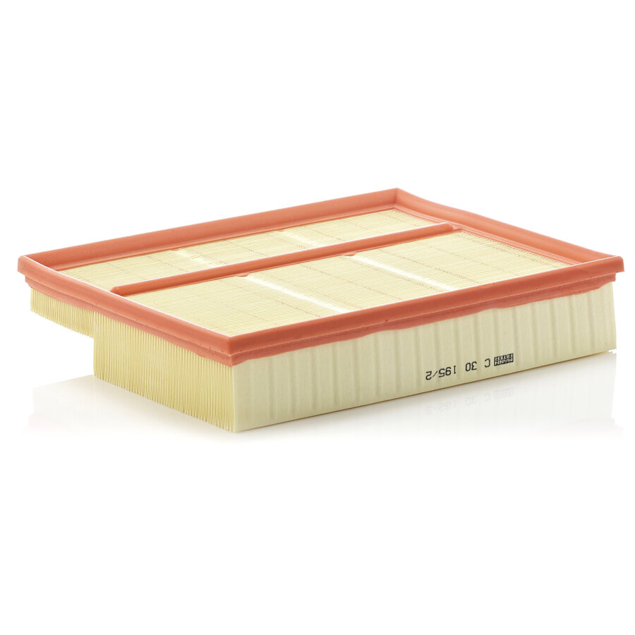 Filtro aria MANN C30195/2