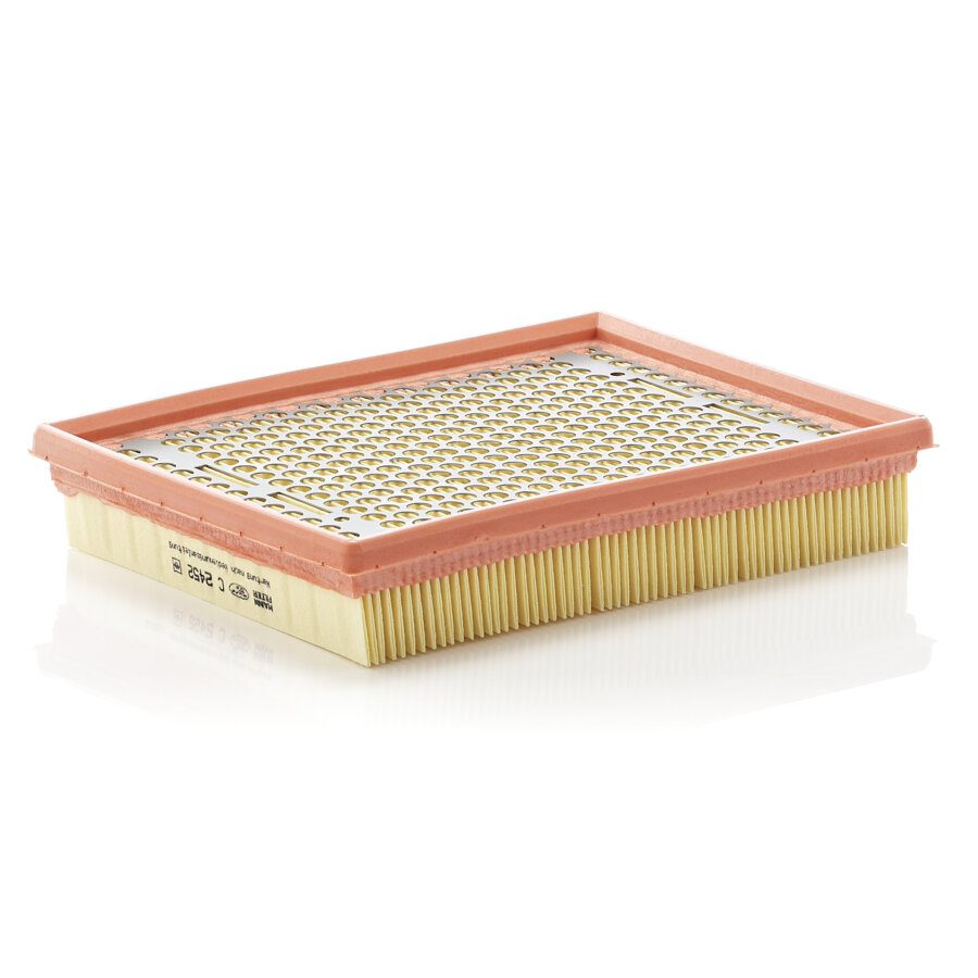 Filtro aria MANN C2452