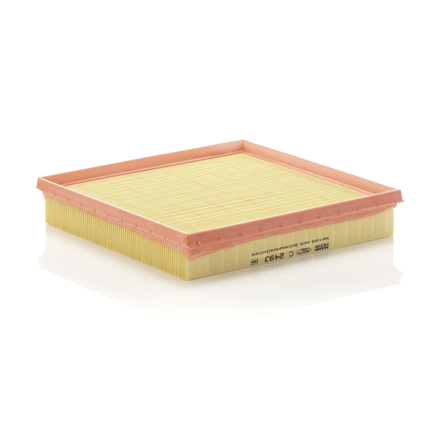 Filtro aria MANN C2493
