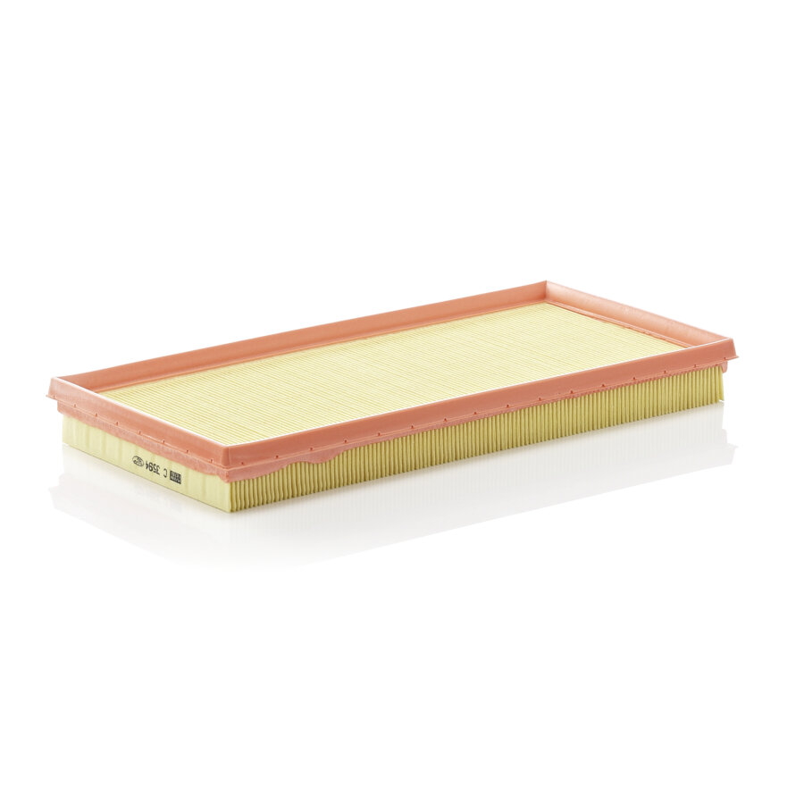 Filtro aria MANN C3594