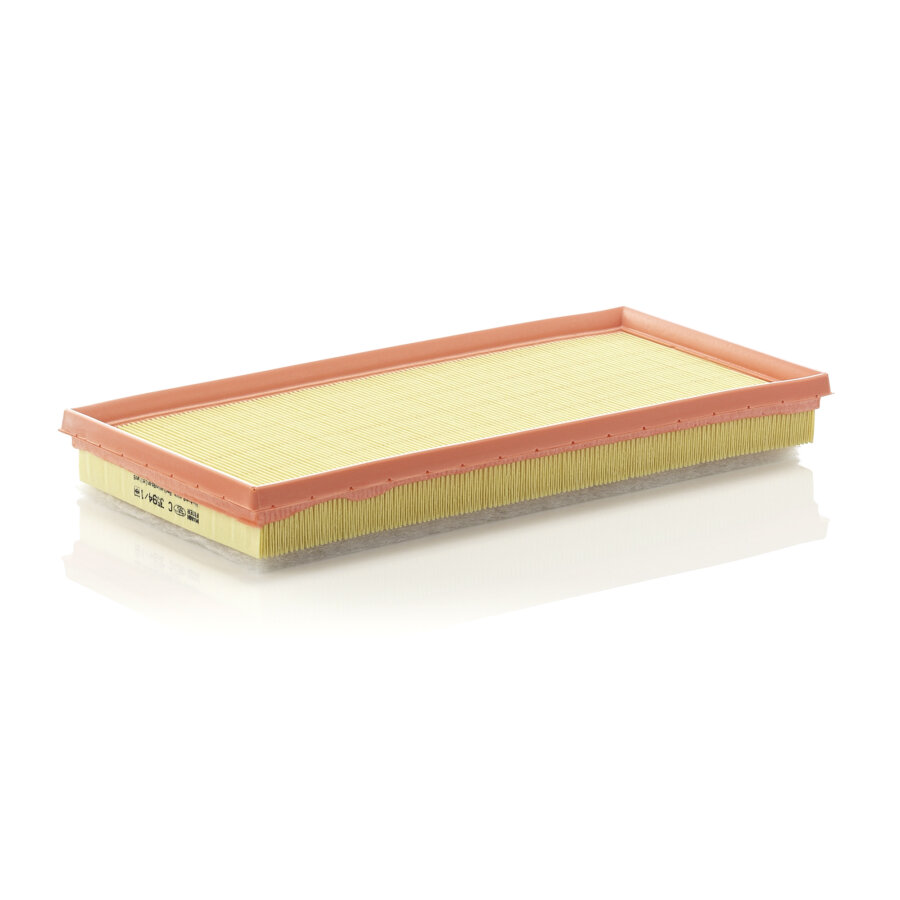 Filtro aria MANN C3594/1
