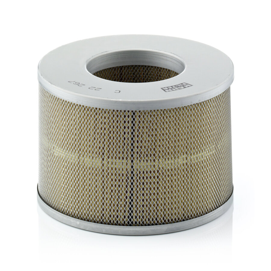Filtro aria MANN C22267