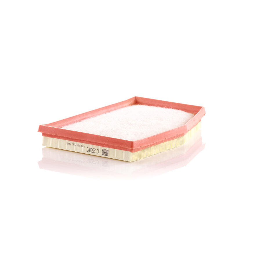 Filtro aria MANN C2558/5