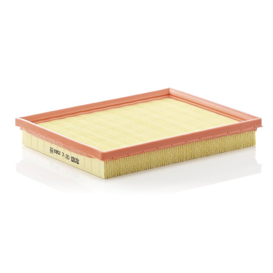 Filtro aria MANN C2569