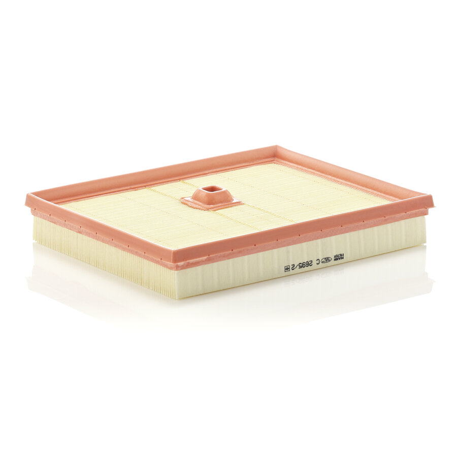 Filtro aria MANN C2695/2
